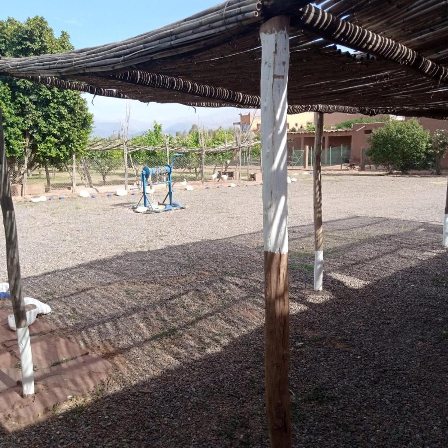 Villa Ferme Berbere マラケシュ エクステリア 写真